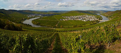 An der Mosel III