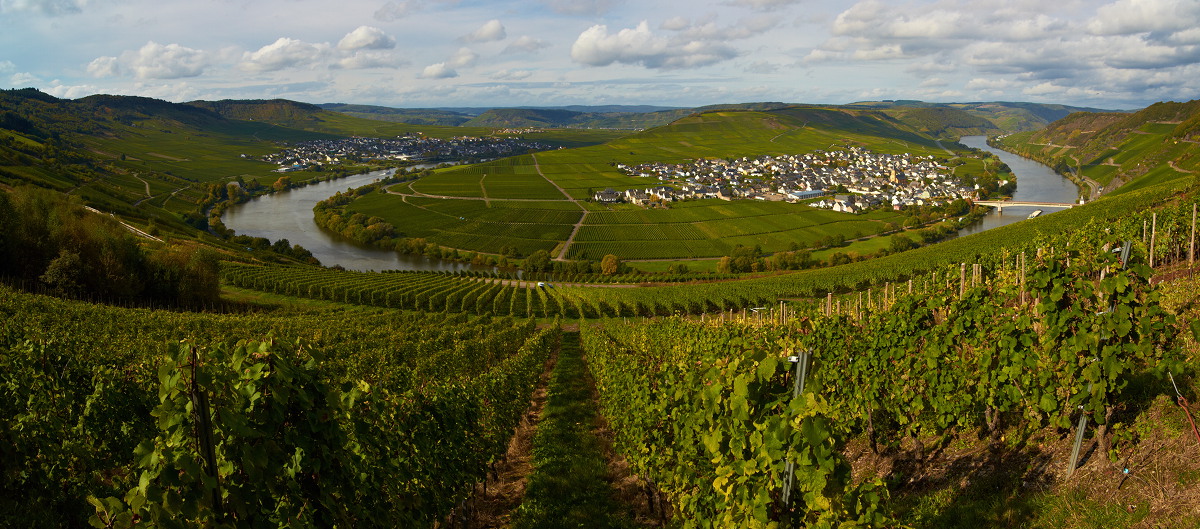 An der Mosel III