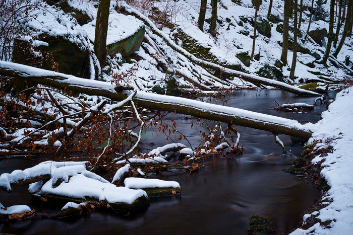 Winterlicher Bach