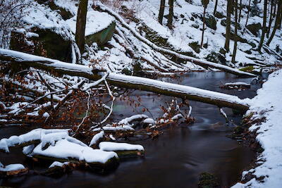 Winterlicher Bach