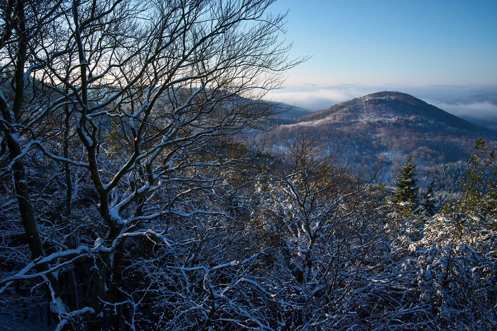 Drachenfels