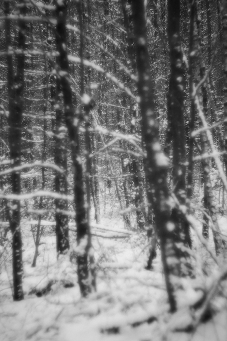 Winterimpression