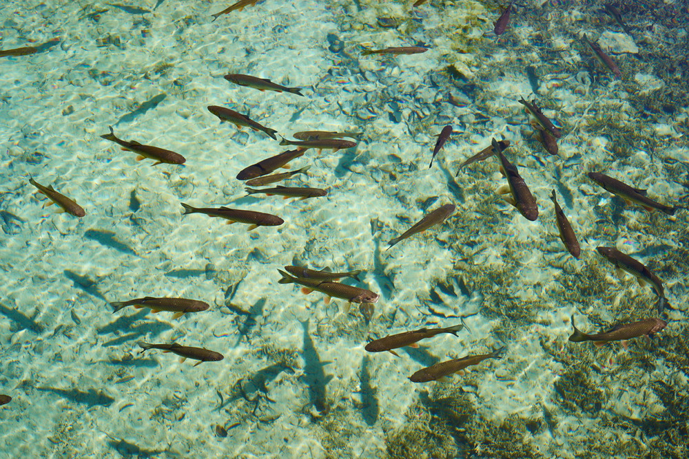 Kroatien - Plitvicer Seen