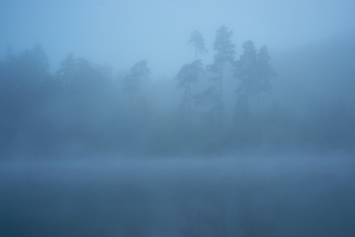 Nebel am See