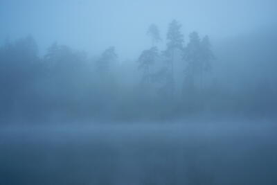Nebel am See