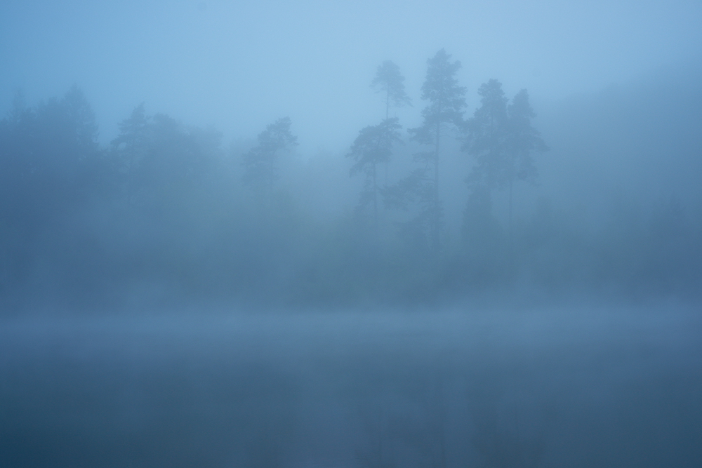 Nebel am See