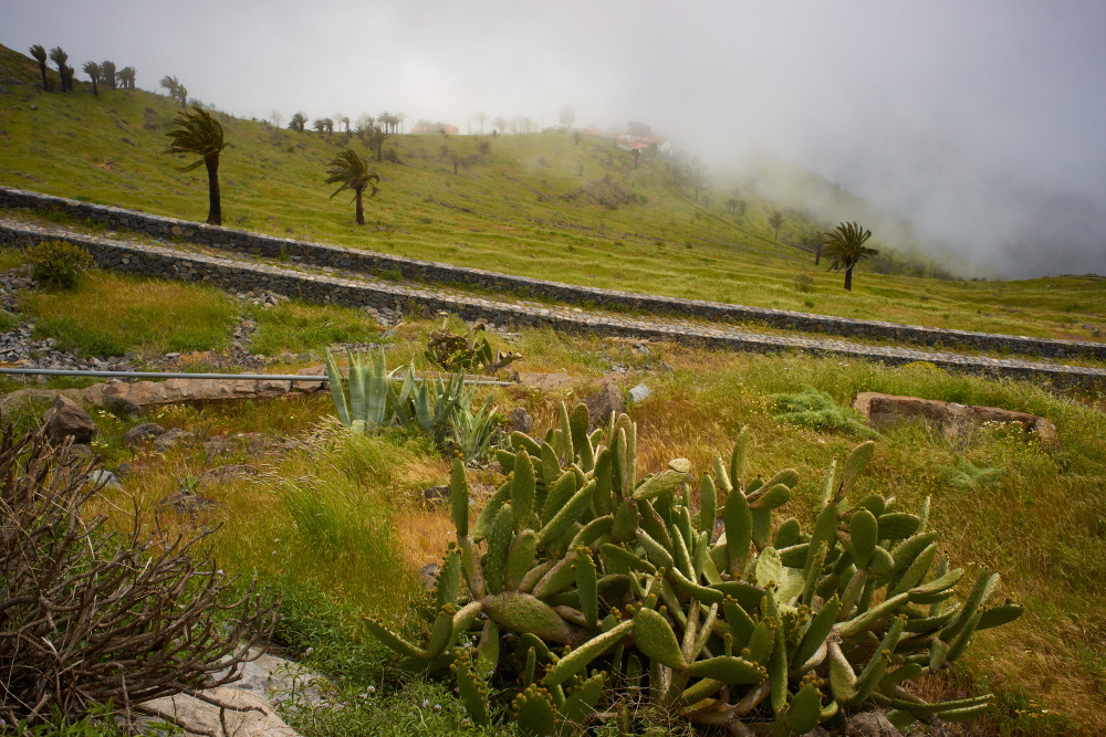 La Gomera 6