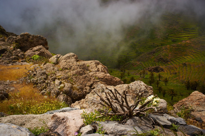La Gomera 7