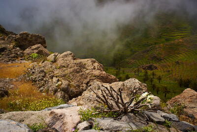 La Gomera 7
