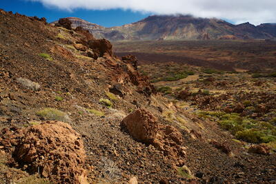 Teneriffa 39
