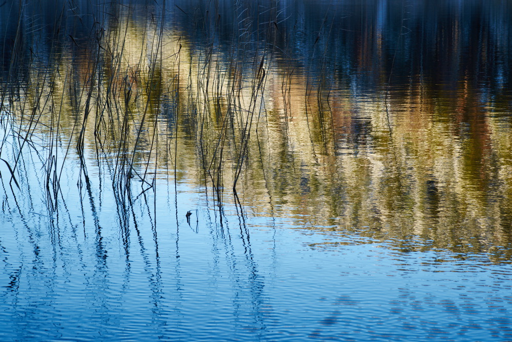 Am See