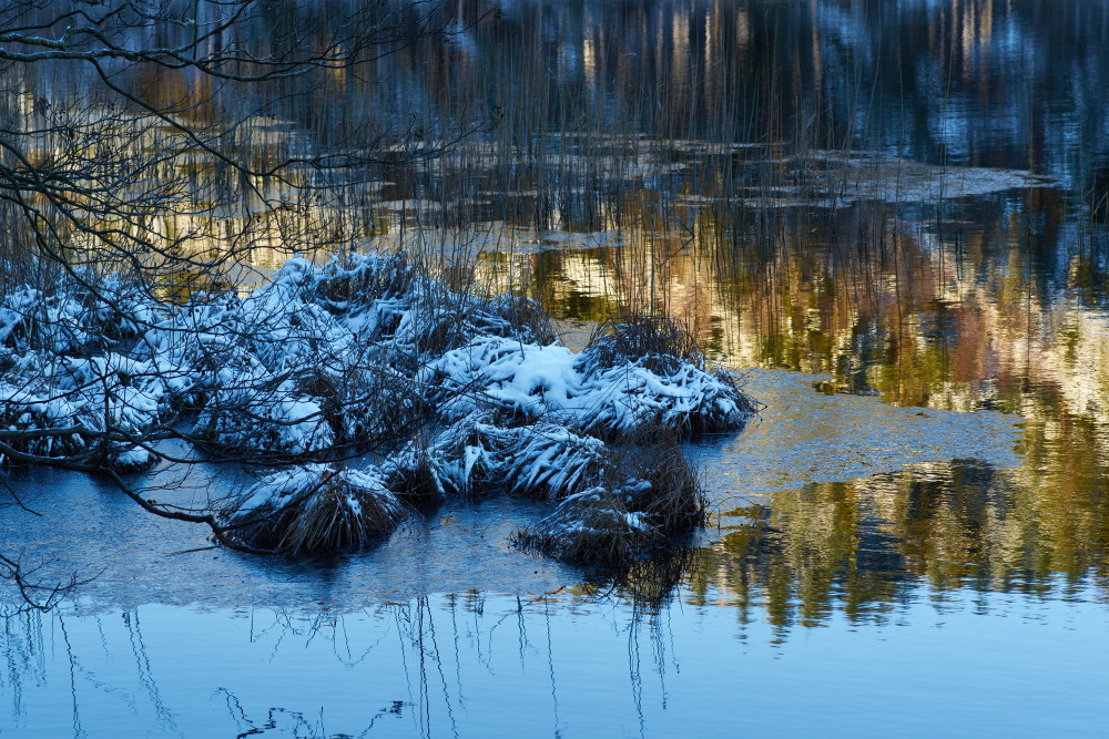 Am See II