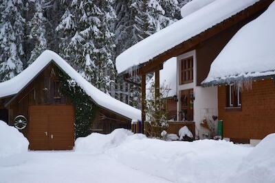 Schwarzwald 5