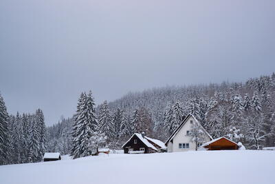 Schwarzwald 6