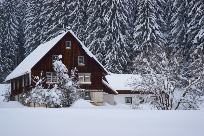 Schwarzwald 7
