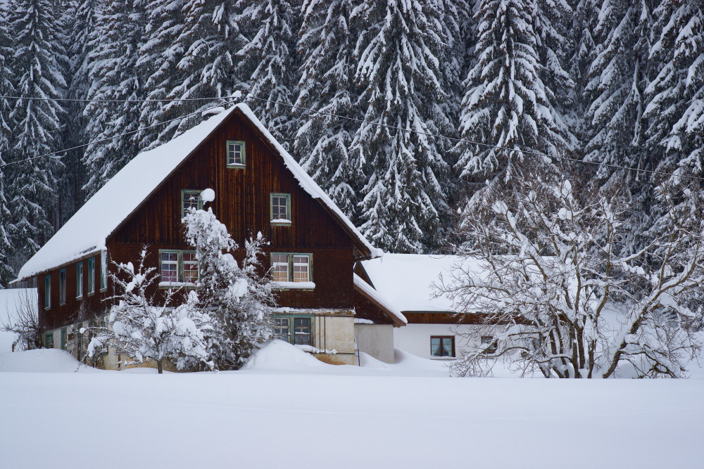 Schwarzwald 7