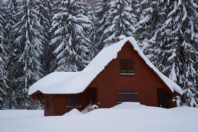 Schwarzwald 8