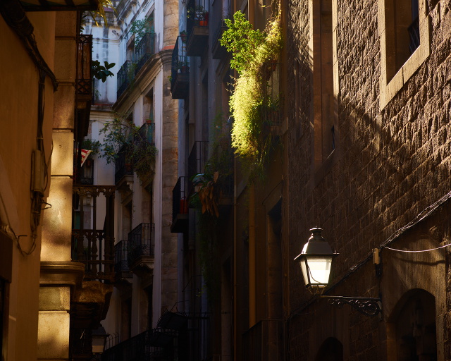 Barcelona 5