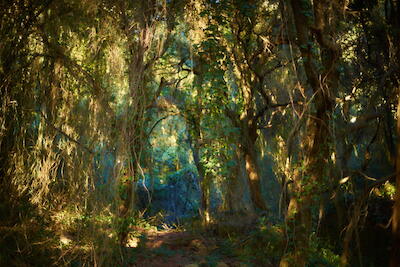 Montseny 1