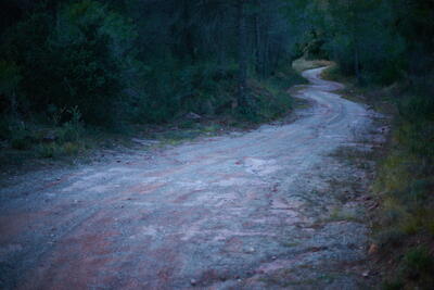 Montseny 6