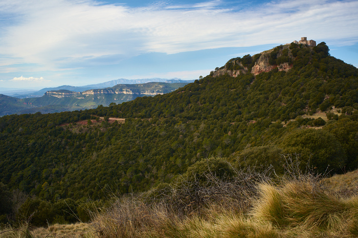 Montseny 8