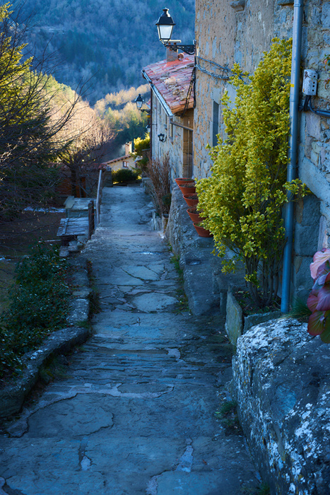 Montseny 23