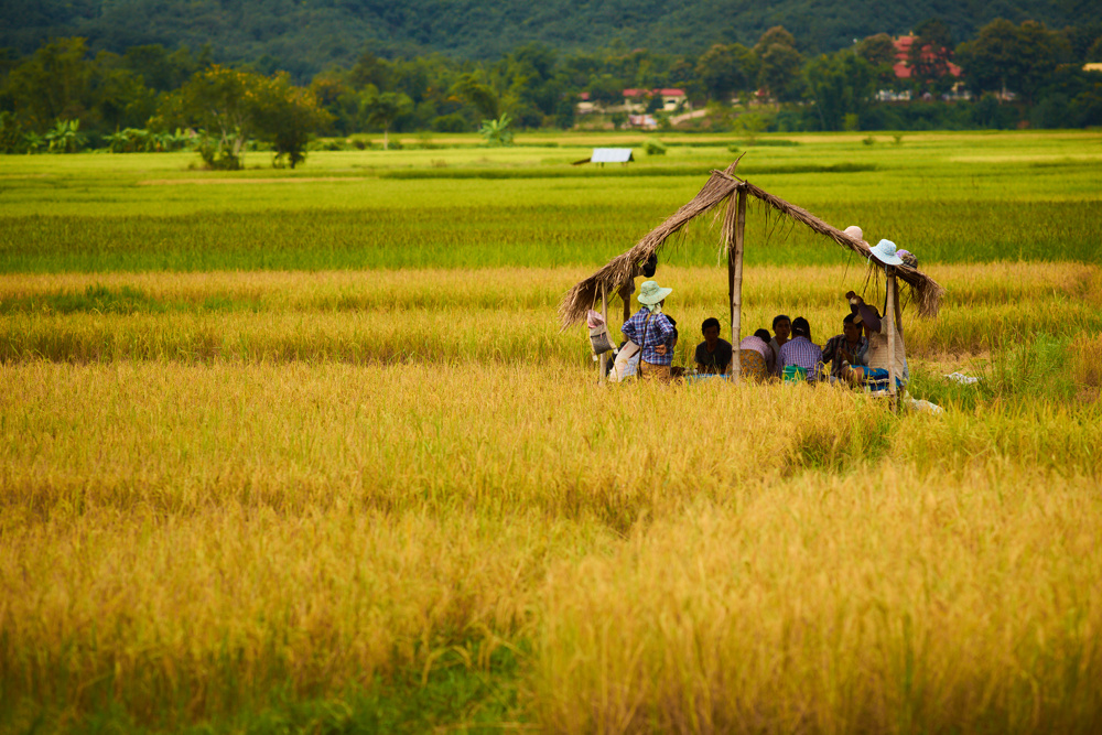 Myanmar 1