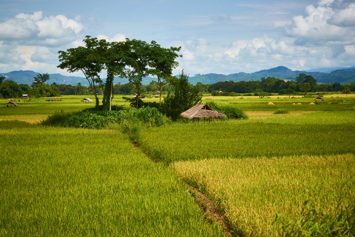 Myanmar 3