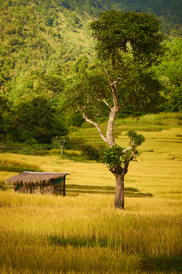 Myanmar 7