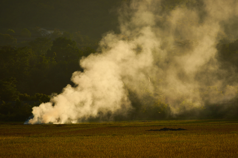 Myanmar 11