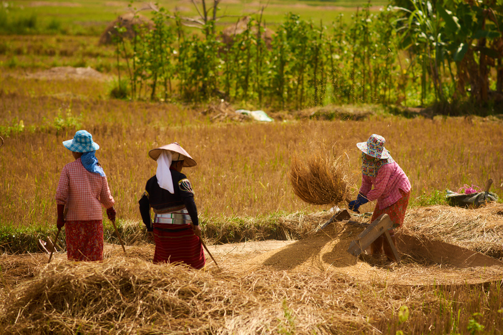 Myanmar 22