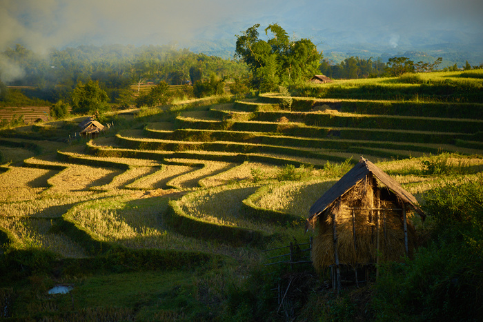 Myanmar 40