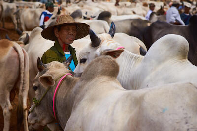 Myanmar 106