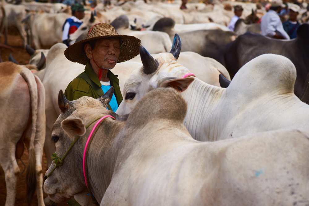 Myanmar 106