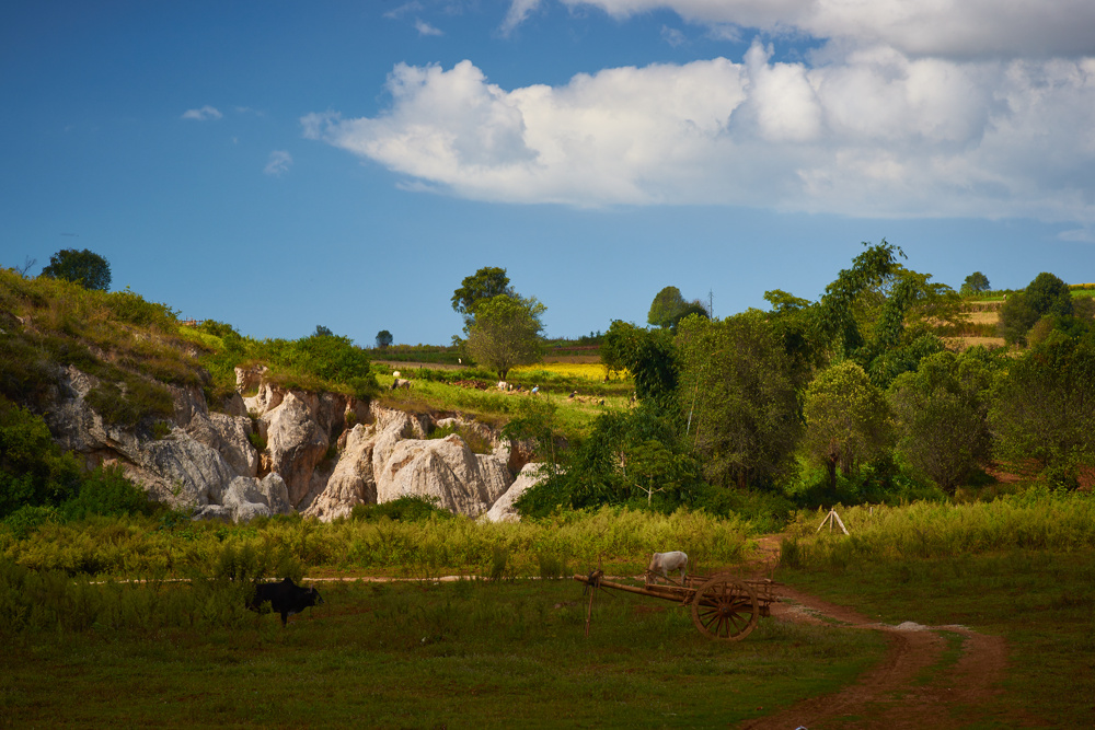 Myanmar 107