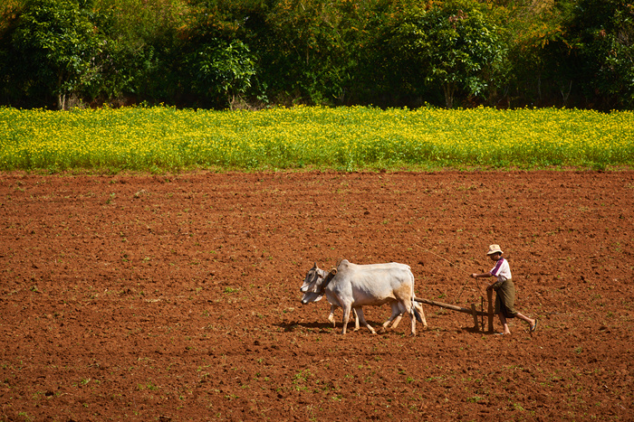 Myanmar 110