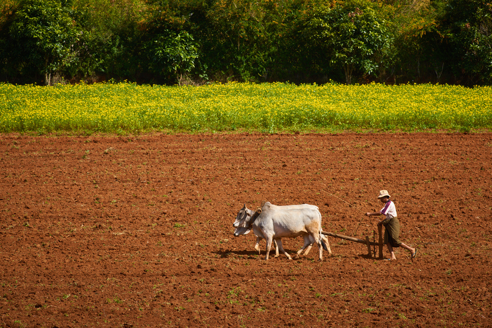 Myanmar 110