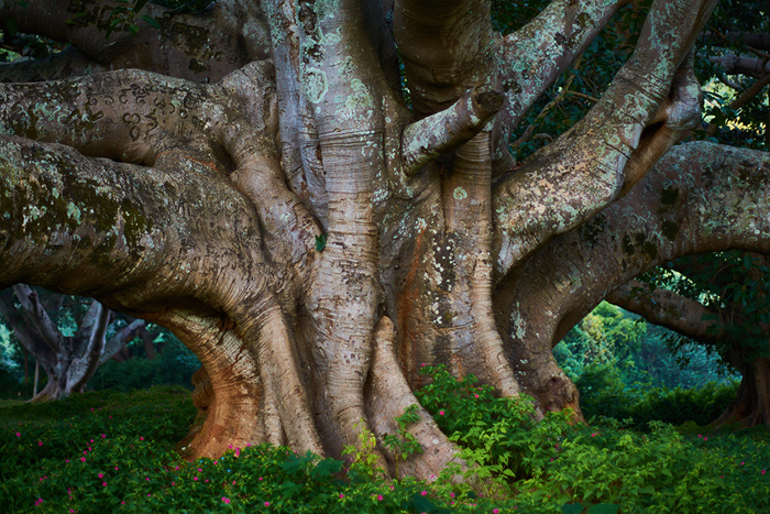 Myanmar 123