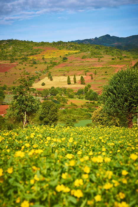 Myanmar 128