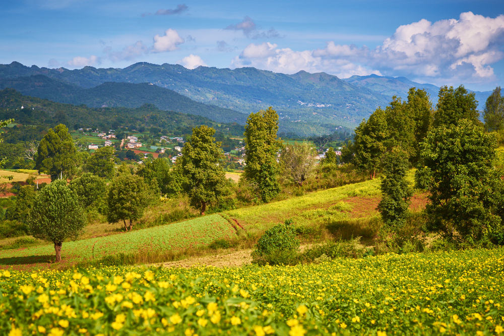 Myanmar 129