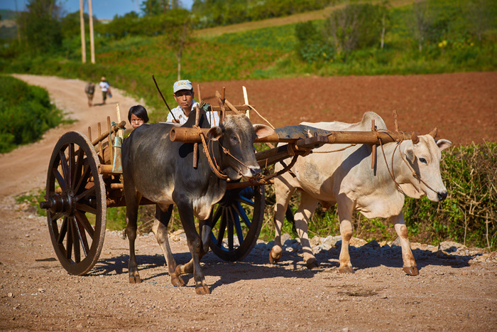 Myanmar 131