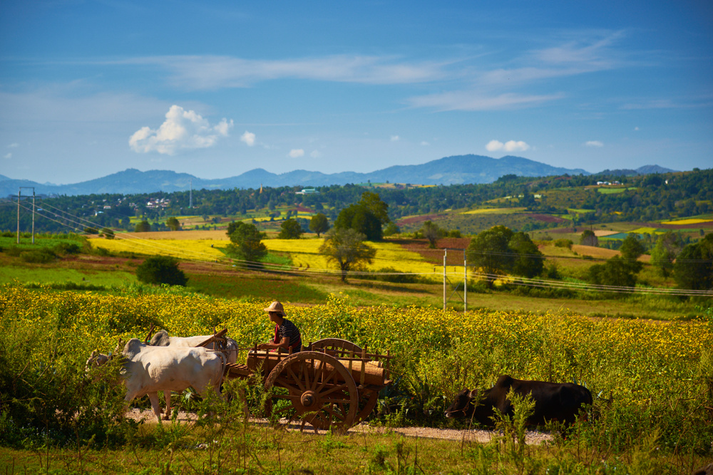 Myanmar 132