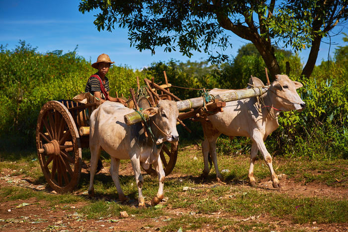 Myanmar 133