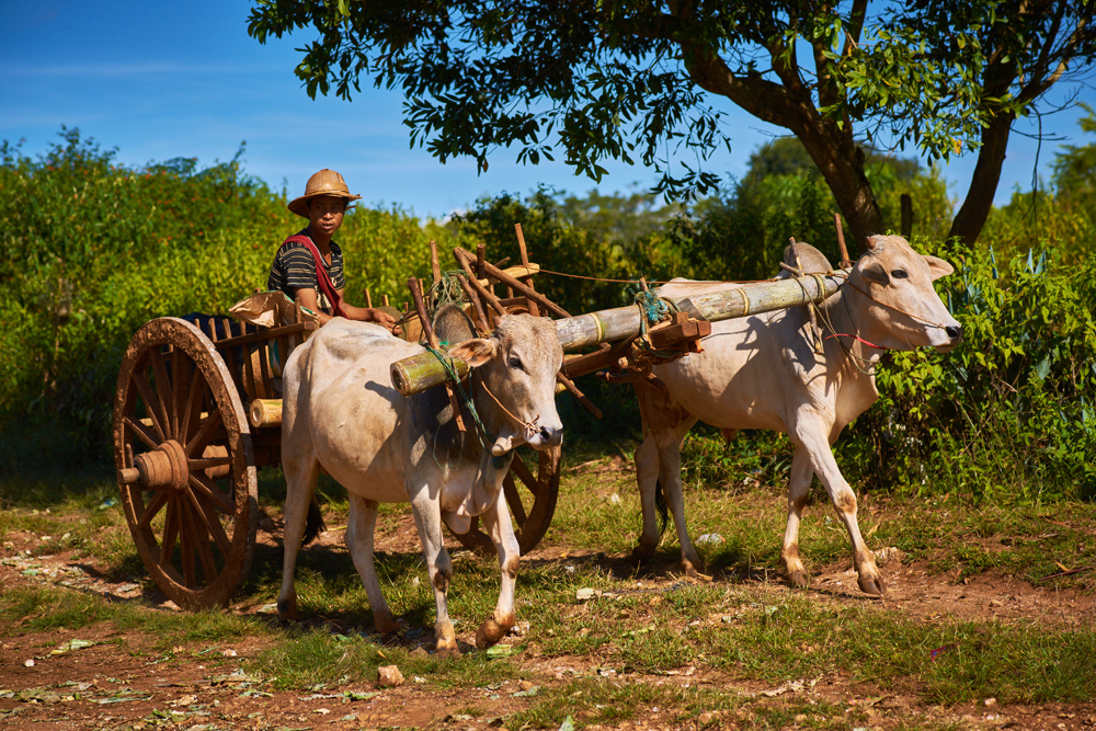 Myanmar 133