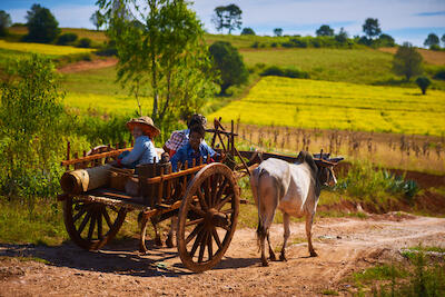 Myanmar 135