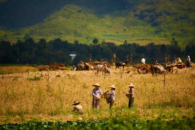 Myanmar 139