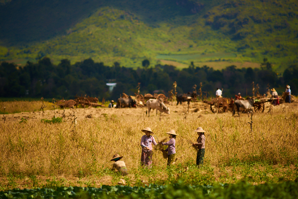 Myanmar 139