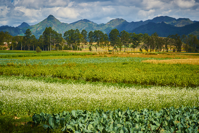 Myanmar 140