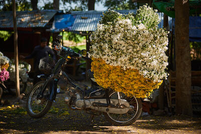 Myanmar 153