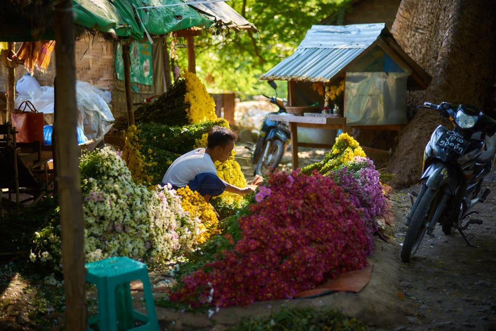 Myanmar 156